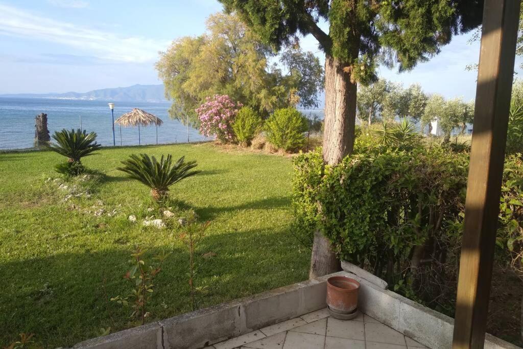 Apartamento Kalypso Relaxing Shelter Arkítsa Exterior foto